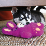 KONG Snuzzles Bunny 