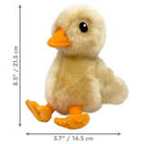 KONG Toughz Duck - Tough, Snuggly, Squeaky Plush Toy for Dogs