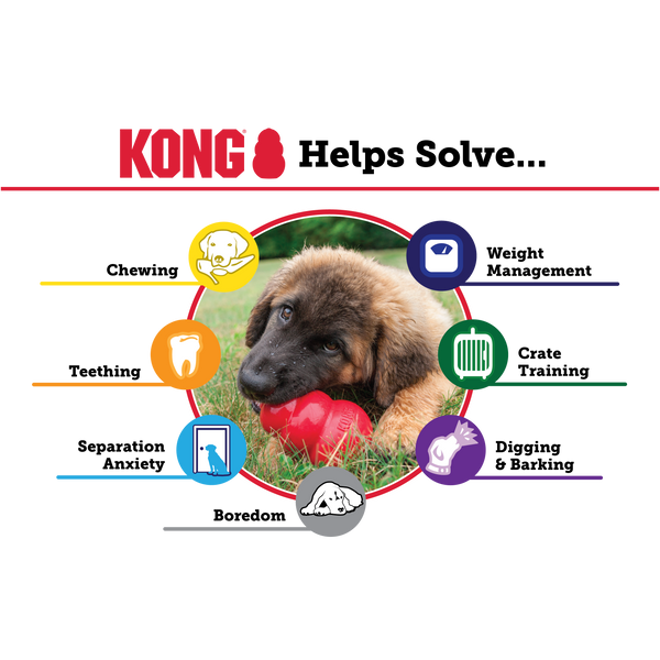 KONG Puppy (Assorted Colours)