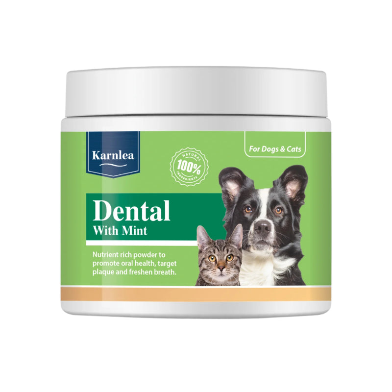 Karnlea Dental with Mint Topper