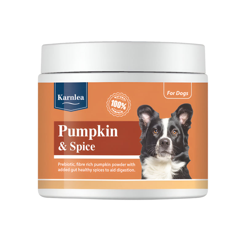 Karnlea Pumpkin & Spice Powder Topper for Dogs