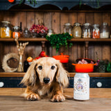 Boil & Broth Water Kefir For Dogs