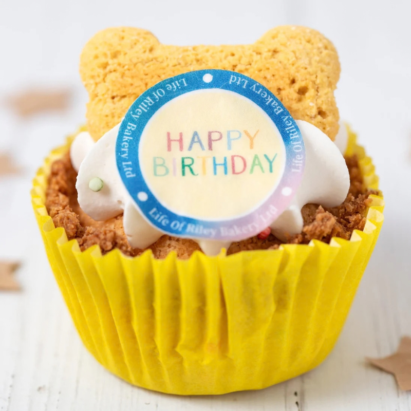 Life of Riley's Happy Birthday Pupcake