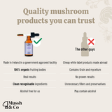 Mussh & Co Calm Reishi Drops with Valerian & Passionflower
