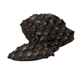 Nutriment Ostrich Liver 