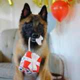 P.L.A.Y. Party Time Pawfect Present