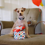 P.L.A.Y. Party Time Pawfect Present
