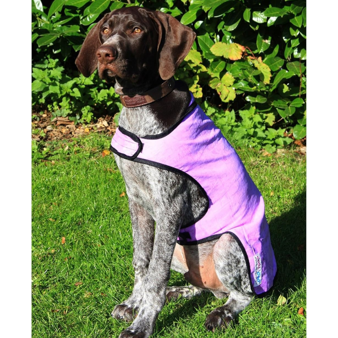 Prestige Cooling Coat Purple - Lightweight Breathable Cooling Coat for ...