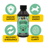 Proflax Immune and Energy Support for Dogs