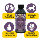 Proflax Kidney Care & Urinary Support for Dogs