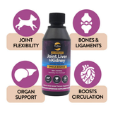 Proflax Omega Bounce Salmon Oil for Joint & Mobility Support for Dogs