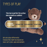 Rosewood Binky Bear