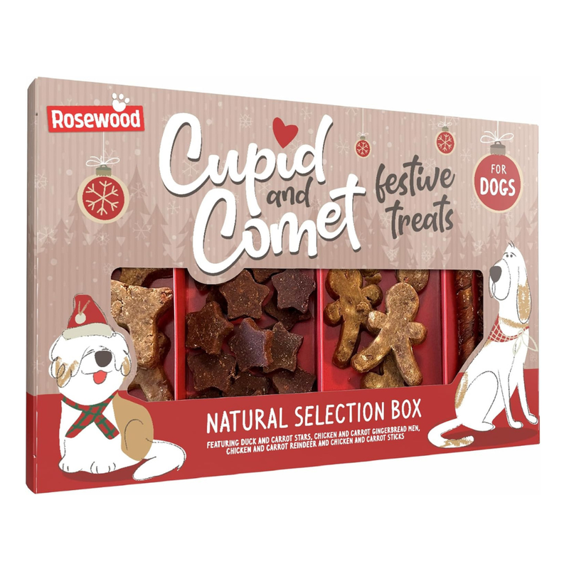 Rosewood Christmas Natural Selection Box for Dogs
