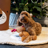 Rosewood Christmas Tufflove Reindeer