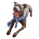 Rosewood Cooling Neckerchief