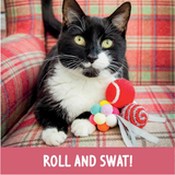 Rosewood Festive Ball Giftbox for Cats