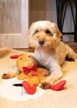 Rosewood George Gingerbread Man