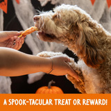 Rosewood Spirit & Spook Pumpkin & Chicken Mummy Treats