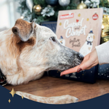 Rosewood Luxury Deli Advent Calendar For Dogs