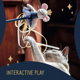 Rosewood Marie Mouse Teaser