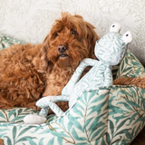 Rosewood Morris & Co Pet Collection Willow Bough Print Frog 