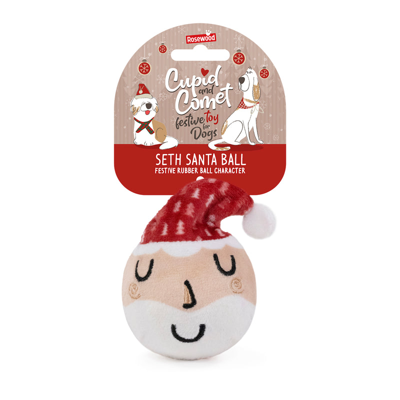 Rosewood Seth Santa Ball