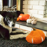 Rosewood Snuffle Pumpkin