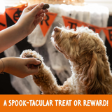 Rosewood Spirit & Spook Carob & Chicken Pumpkins
