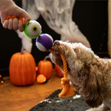 Rosewood Spirit & Spook Goofy Eye Tug