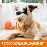 Rosewood Spirit & Spook Gregory Ghost