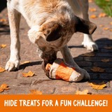 Rosewood Spirit & Spook Pumpkin Latte Snuffle Cup & Balls