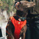 Ruffwear Confluence Life Jacket Tangelo Orange