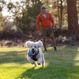 Ruffwear Huckama Sage Green