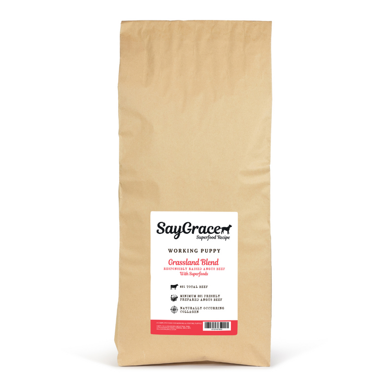 SayGrace Working Superfood Puppy Grassland Blend Angus Beef 