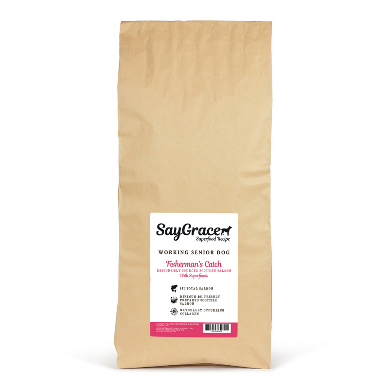 SayGrace Superfood Working Senior Light Fisherman's Catch Salmon