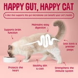 Scrumbles Krunchies Anti-hairball Cat Pillow Treats