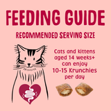 Scrumbles Krunchies Anti-hairball Cat Pillow Treats