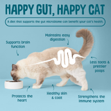 Scrumbles Krunchies Cat Dental Pillow Treats