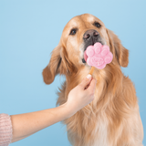 Smoofl Strawberry Dog Ice Cream Mix
