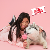 Smoofl Watermelon Dog Ice Cream Mix