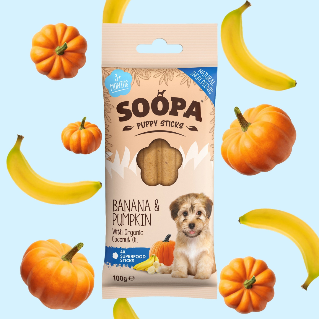 Are Bananas A Puppy Dental Cleaner