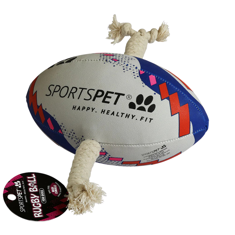 SportsPET Rugby Ball - Blue & Red
