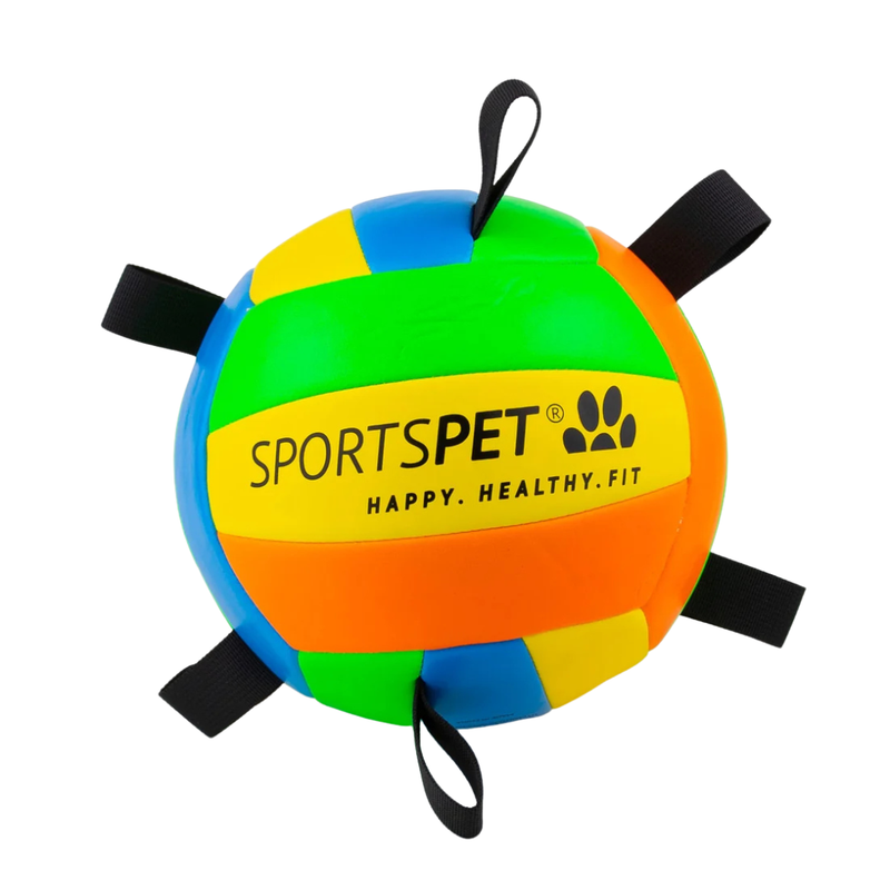 SportsPET Tab Volleyball