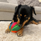 Spunky Pup The Wedge Stuffies Treat Dispensing Plush