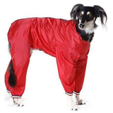 Cosipet Trouser Suit Red