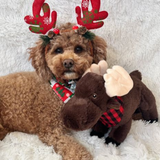 Tall Tails Animated Moose Toy for Dogs
