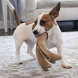 Tall Tails Antler - Peanut Butter Scented Chew Toys for Dogs