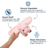 Tall Tails Fling & Fetch Flying Pig Toy for Dogs