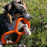 Tall Tails G.O.A.T. Rubber Tug Toy for Dogs