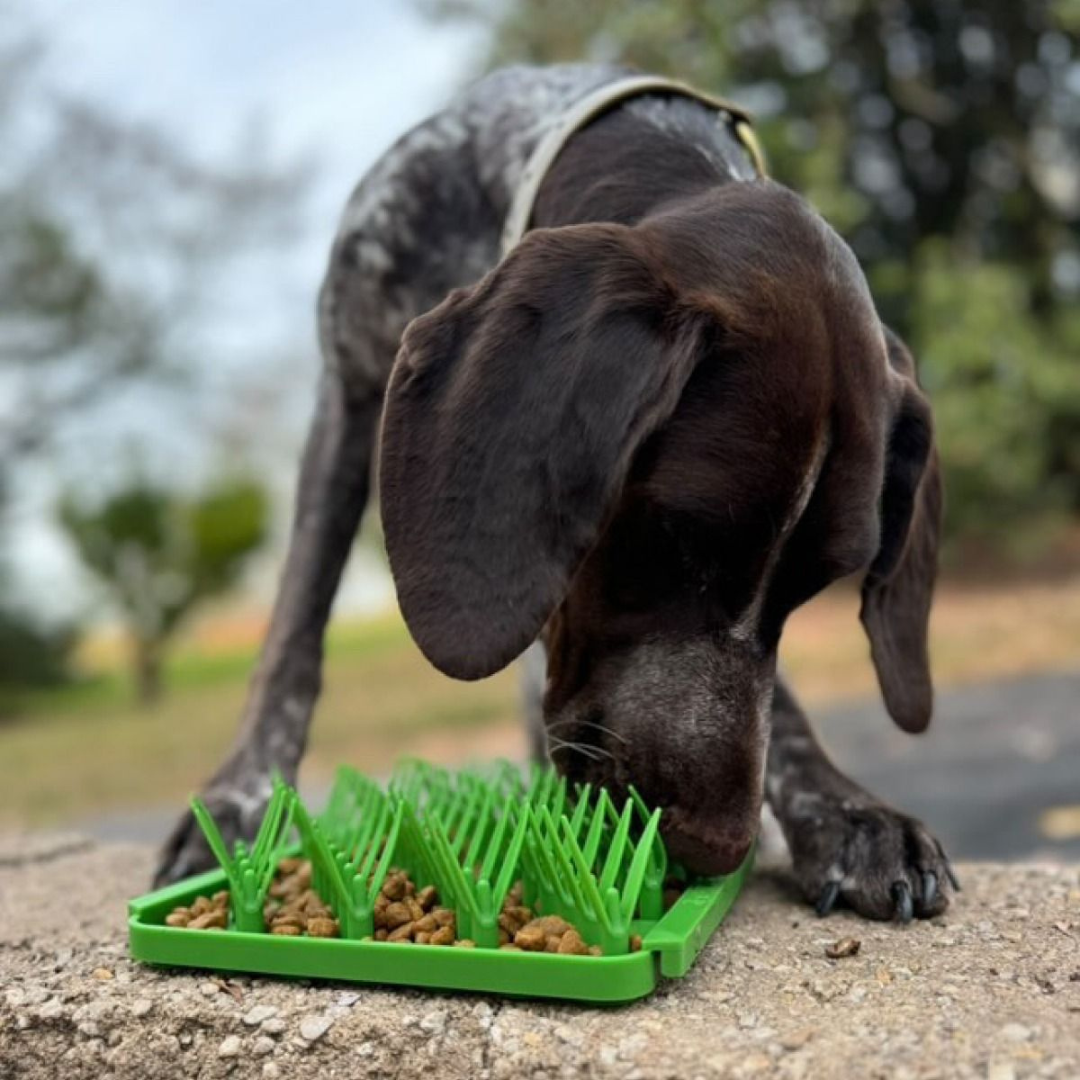 Tall Tails Grass Foraging Mat for Slower Eating Fun - Brown's Natural ...